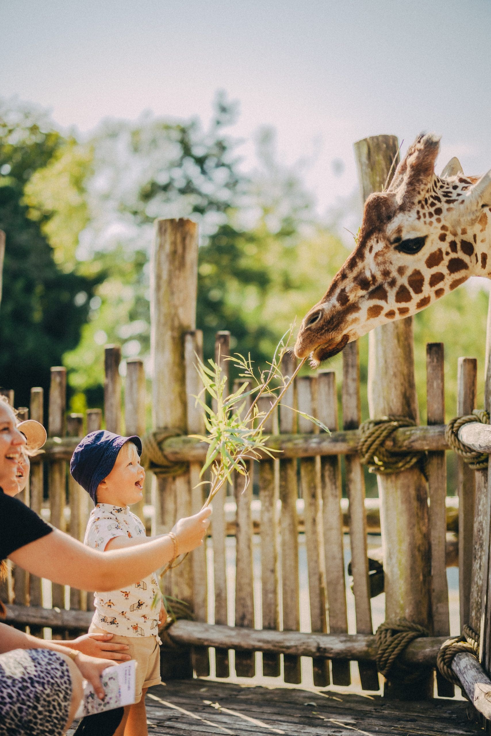Odense Zoo